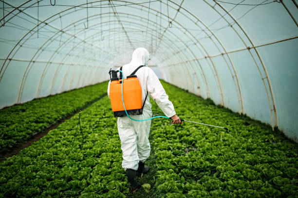 Best Local Pest Control Services  in Cardington, OH