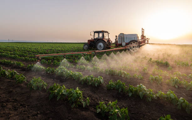 Best Insect Control  in Cardington, OH