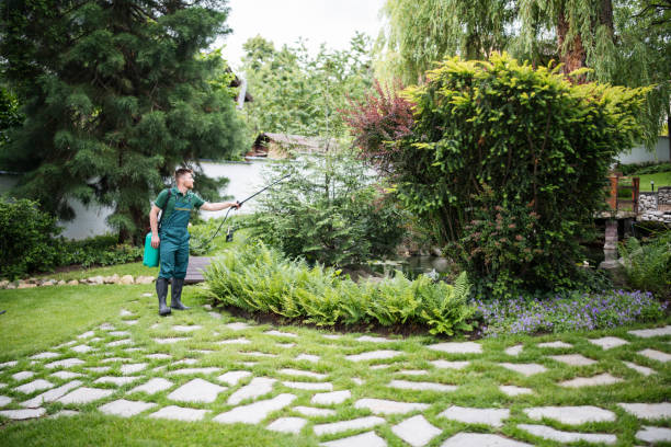 Best Ant Control Services  in Cardington, OH