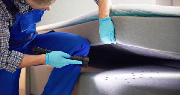 Professional Pest Control in Cardington, OH
