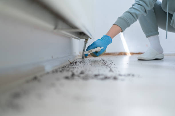 Best Best Pest Control Companies  in Cardington, OH